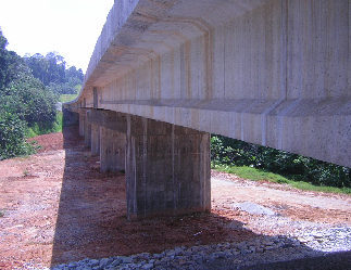 Animal Viaducts, Aring, Terengganu